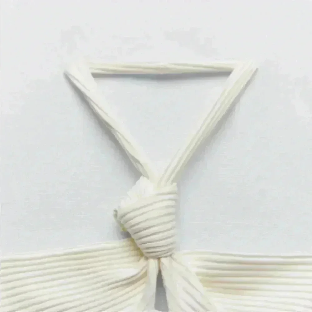 ZARA Bodysuit - Picture 6 of 9